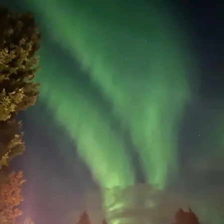 Apartament Arctic- Evakko