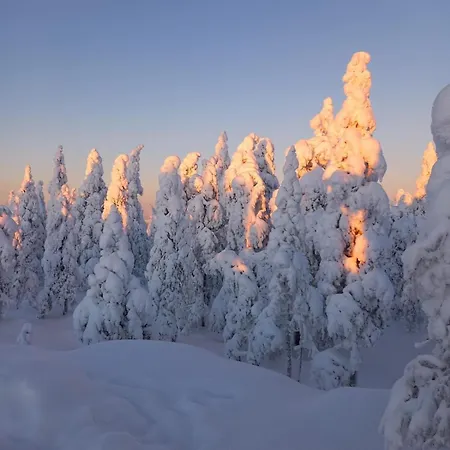Apartamento Arctic- Evakko