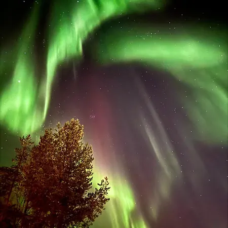 Apartamento Arctic- Evakko Rovaniemi