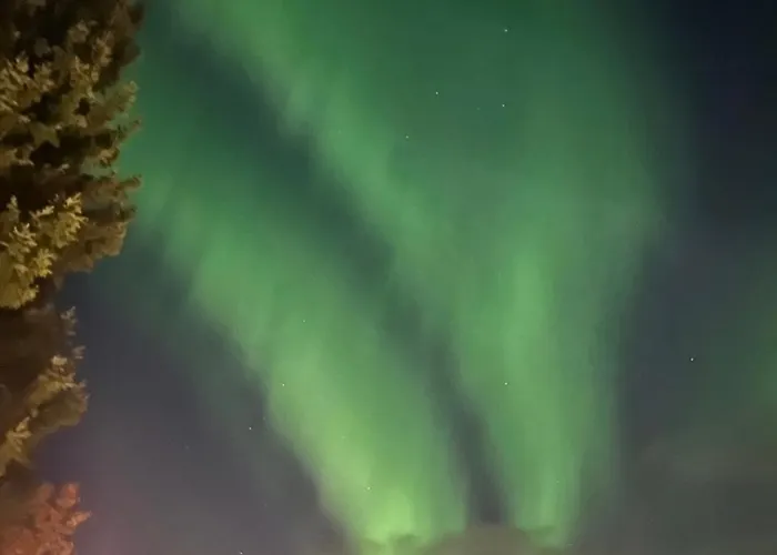 Appartement Arctic- Evakko