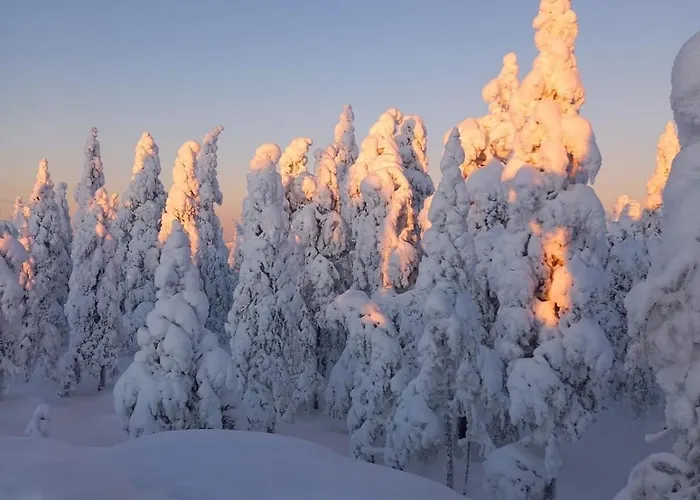 Appartement Arctic- Evakko