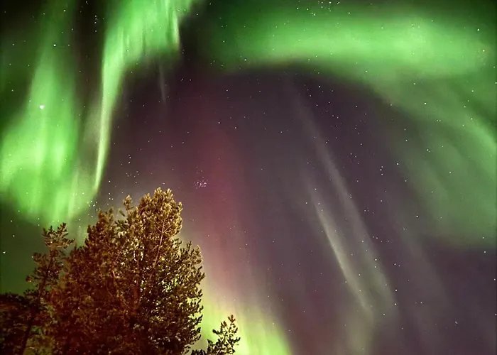 Appartement Arctic- Evakko Rovaniemi